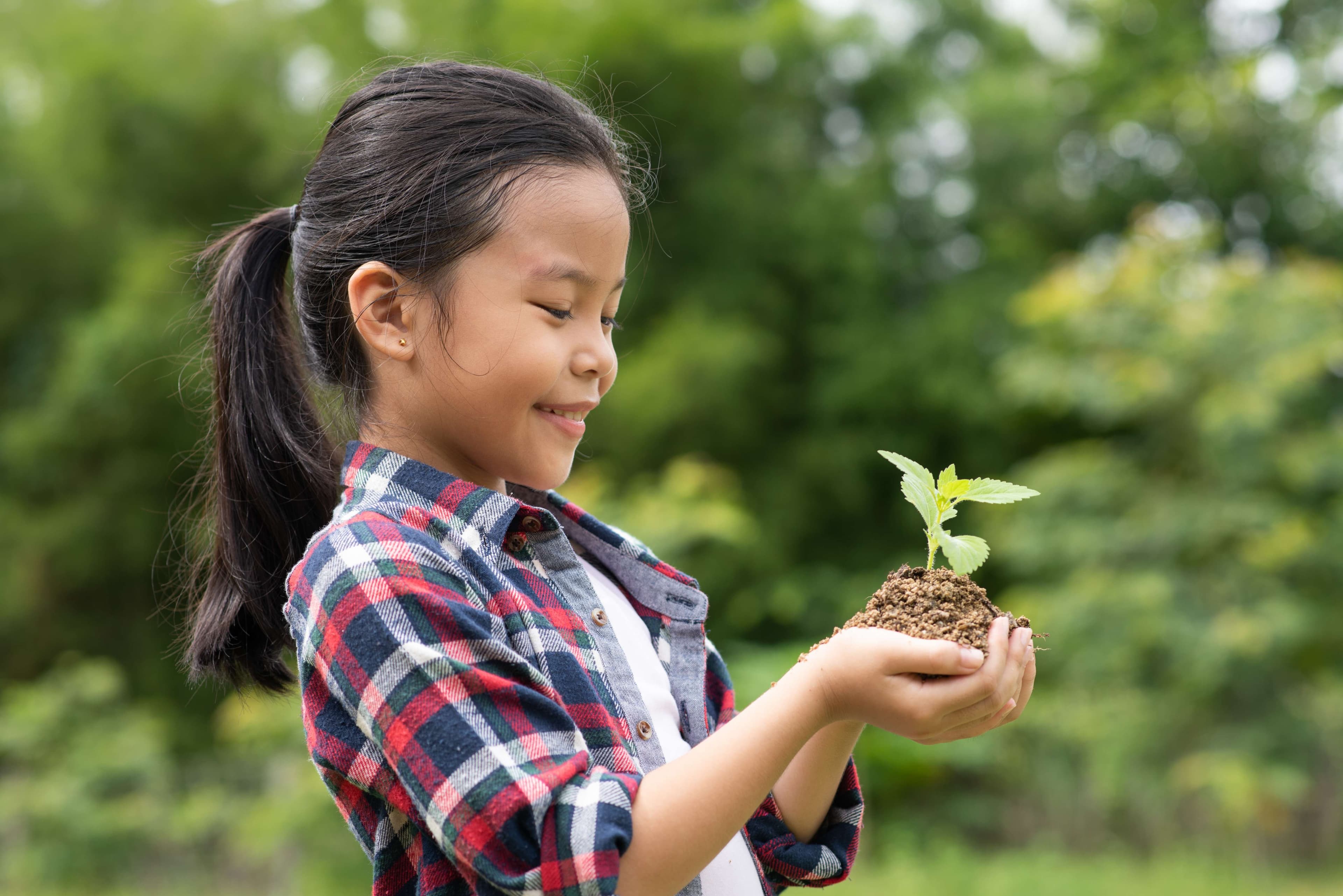 How Can Restaurants Embrace Sustainability and Save Money?